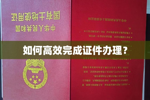 彬县如何高效完成证件办理？