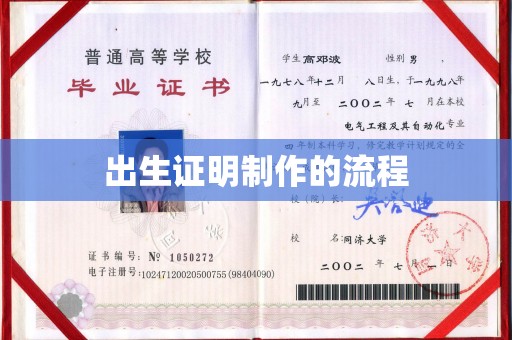 彬县出生证明制作的流程